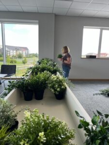 Office planting