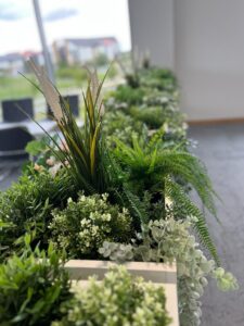 Office planting