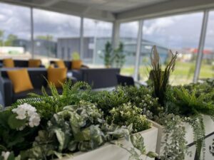 Office planting