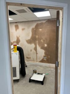 Plastered walls, work in progress