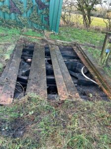 Old reed bed