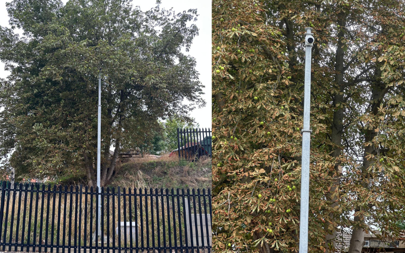 Before and After tree clearance around camera Before and After tree clearance around camera