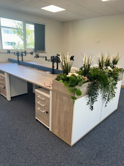 Improved workspace layout showing modern desks and planting